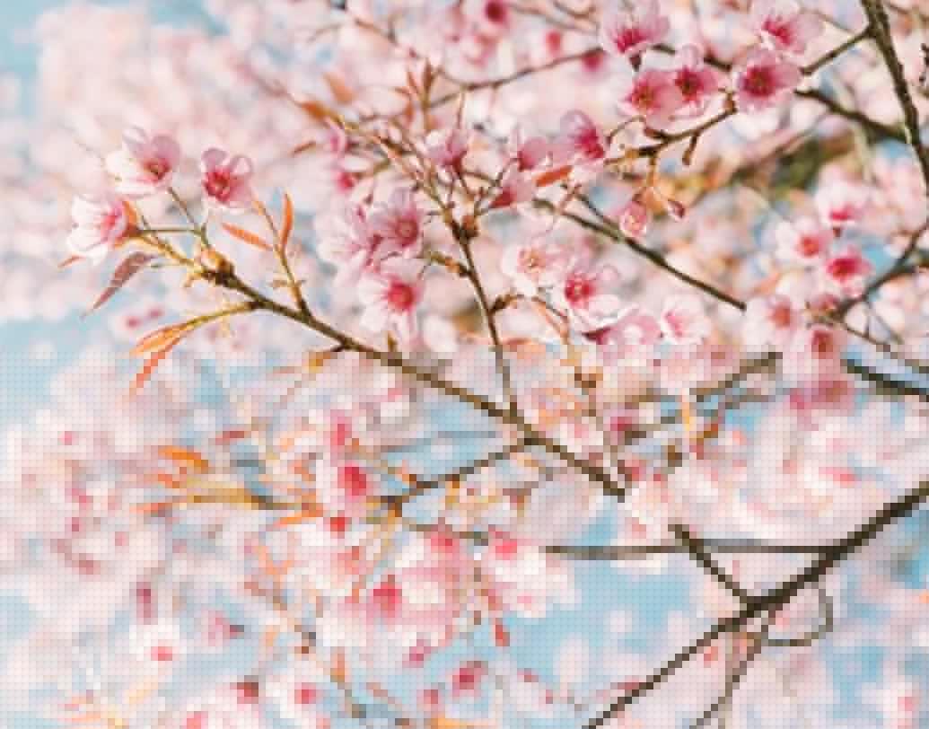 আমেরিকা, নিউজিল্যান্ড, নেদারল্যান্ডস, দক্ষিণ কোরিয়া-সহ পৃথিবীর মোট ২৭টি দেশে এই উত্সব পালিত হয়ে আসছে বহু দিন ধরেই। এ বার ২৮তম দেশ হিসেবে ভারত যুক্ত হল এই উত্সবের সঙ্গে।