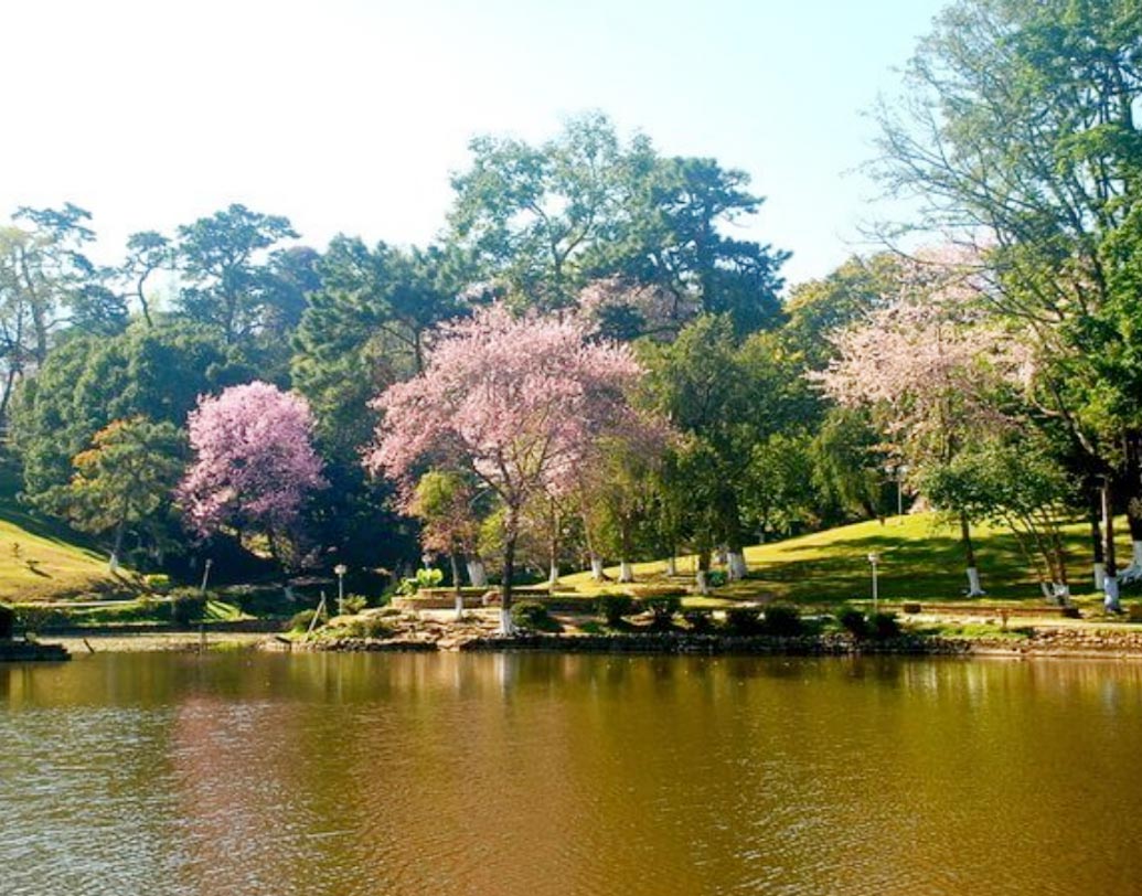 বিশ্বের অন্য দেশগুলিতে মার্চ থেকে জুন মাসে অনুষ্ঠিত হলেও একমাত্র ভারতেই তা নভেম্বরে অনুষ্ঠিত হবে।