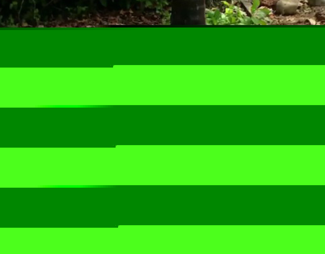 নিজের গৌরী হয়ে ওঠার কাহিনী সমস্ত গৌরবের কাছে পৌঁছে দিয়ে তাঁদের অনুপ্রেরণা হতে চান তিনি। ছবিতে মাঝখানে রয়েছেন গৌরব, পরে যিনি গৌরী।