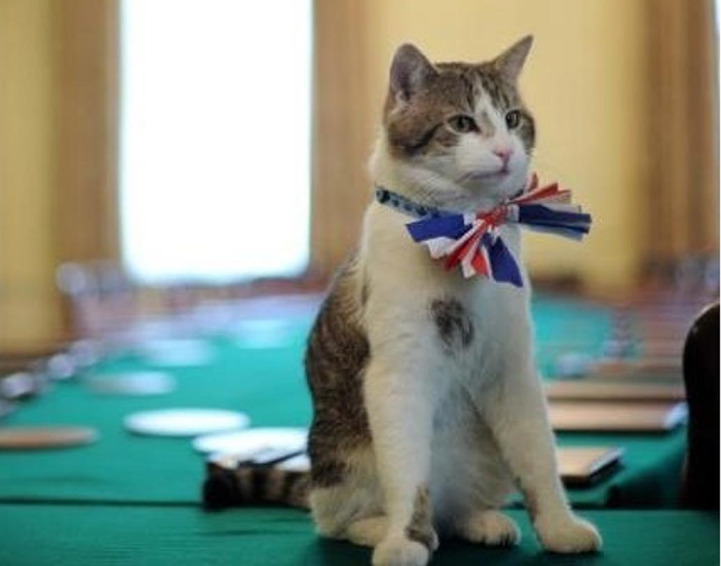 সবচেয়ে জনপ্রিয় এবং ক্ষমতাসম্পন্ন পোষ্যের কথা বলতে গেলে একটাই নাম সামনে আসে, ল্যারি। ১০ ডাউনিং স্ট্রিটের এই পোষ্যটি ব্রিটিশ ক্যাবিনেটের চিফ মাউসার। দায়িত্বও নেহাত কম নয়। ১০ ডাউনিং স্ট্রিটকে ইঁদুরের উৎপাত থেকে মুক্ত রাখে।