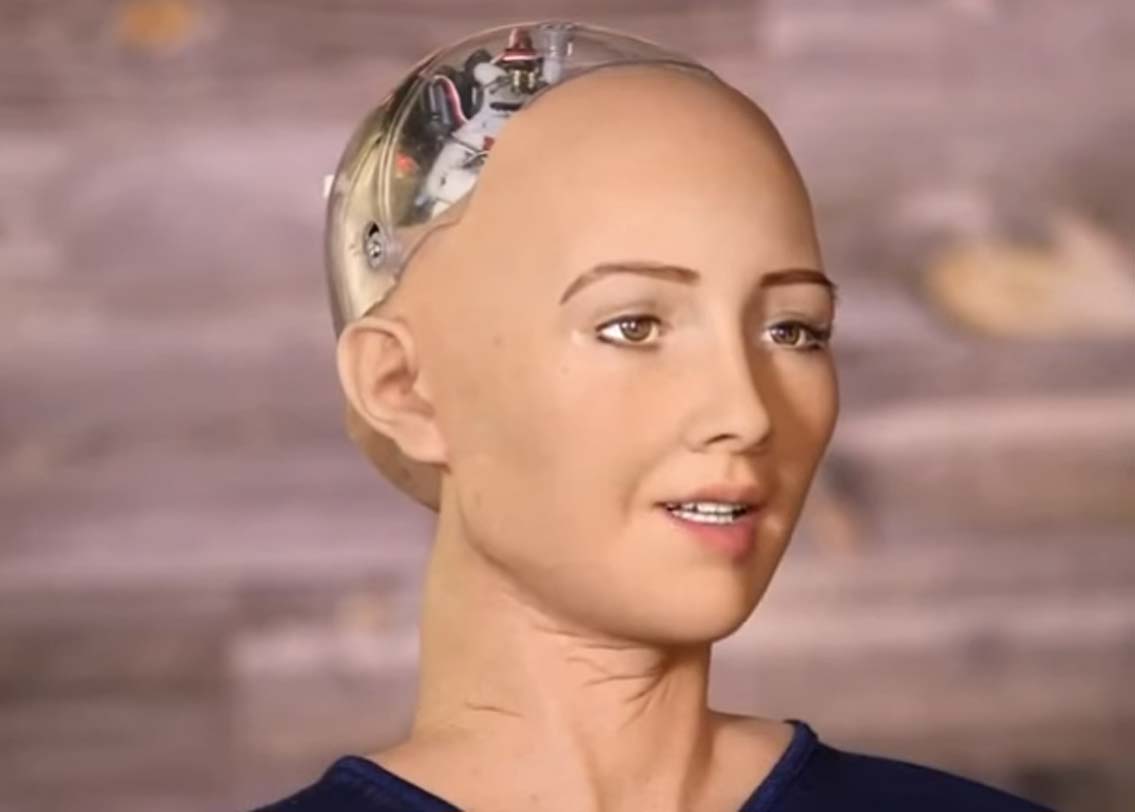 হ্যানসন রোবটিক্স-এর পরীক্ষাগারে তৈরি হওয়া রোবটগুলির মধ্যে আধুনিকতম সোফিয়া। চটপট যে কোনও প্রশ্নের উত্তর দিতে সে রীতিমতো সিদ্ধহস্ত।