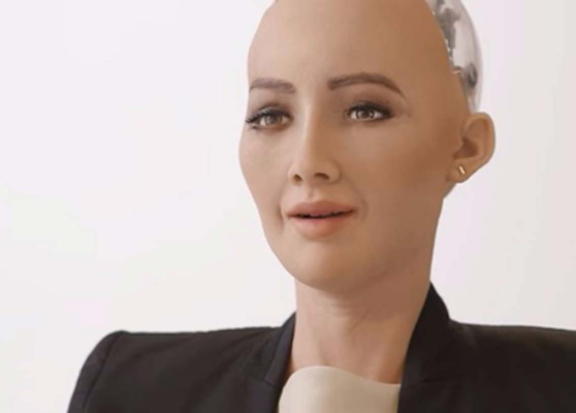 আলোচনার মঞ্চেও দেখা গিয়েছে তাকে। উচ্চ পর্যায়ের সম্মেলনেও যোগ দিতে দেখা গিয়েছে সোফিয়াকে।