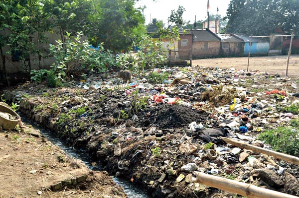 Dengue infestation increases in Kharagpur