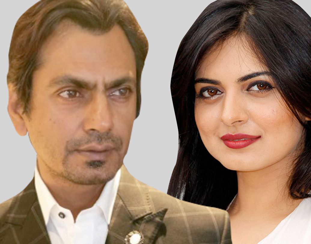 স্পটবয়ের খবর অনুযায়ী, প্রাক্তন প্রেমিকা নীহারিকা সিংহকে নিয়ে নওয়াজউদ্দিনের মন্তব্য, ‘‘আমি যথন প্রথম নীহারিকার বাড়িতে গিয়েছিলাম, ও প্রথমে দরজাটা একটু ফাঁক করেছিল। ওঁর সুন্দর বাড়ি দেখে আমি অভিভূত হয়েছিলাম। প্রায় একশো বা তারও বেশি মোমবাতি জ্বালানো ছিল ঘরে। ওটাই ছিল আমাদের ফার্স্ট ডিনার ডেট।’’