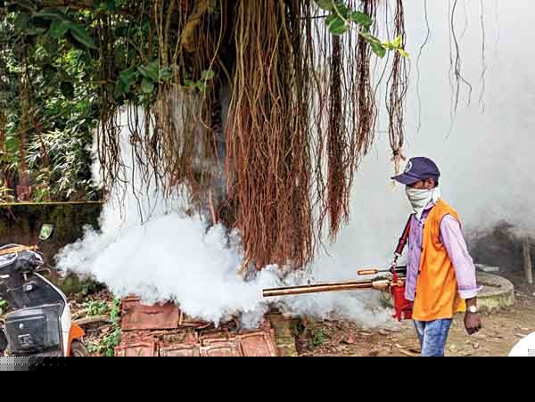 KMC has been involved in Bhangar to prevent dengue