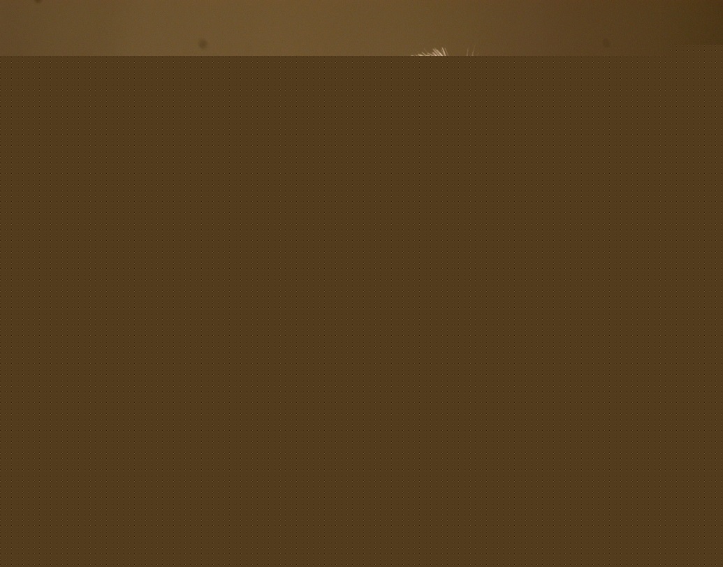 আজিম প্রেমজি: সম্পত্তির নিরিখে ফোর্বস ম্যাগাজিনের ওই তালিকায় দ্বিতীয় স্থান দখল করেছেন উইপ্রোর আজিম প্রেমজি। তাঁর মোট সম্পত্তির পরিমাণ ১ লক্ষ ২৩ হাজার ৫২৯ কোটি টাকা।