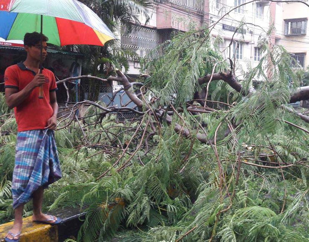 প্রিন্স গোলাম মহম্মদ শাহ রোডে ভেঙে পড়েছে গাছ।