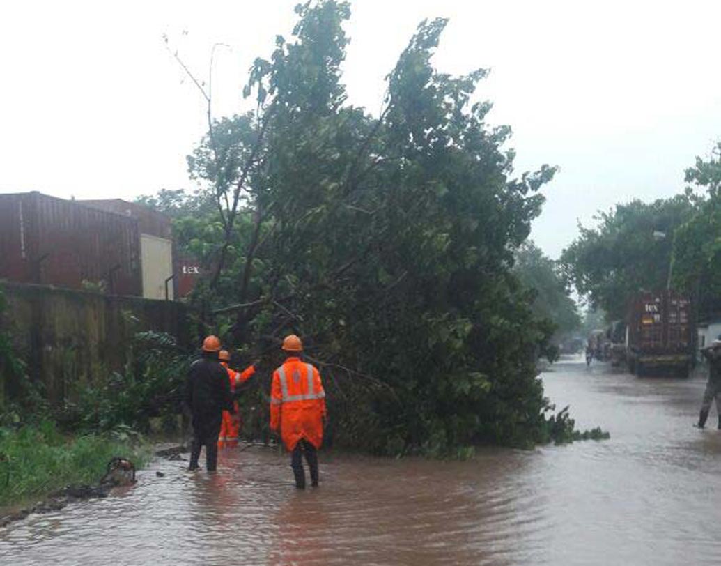 ট্রান্সপোর্ট ডিপো রোড।