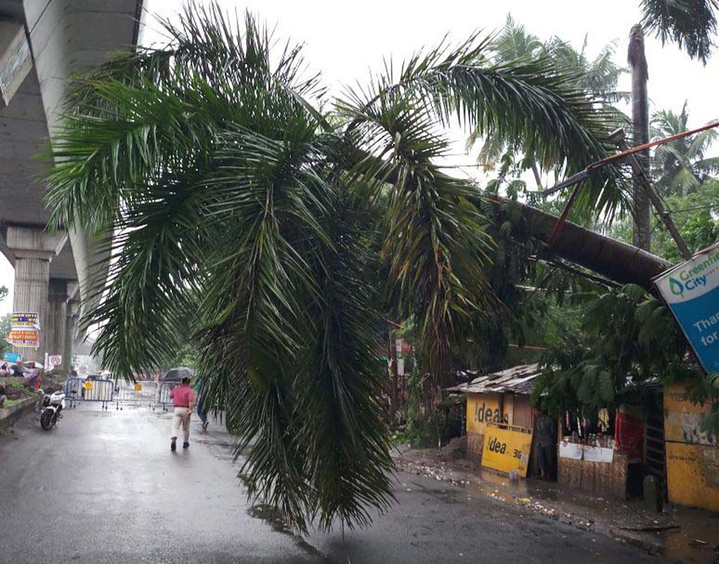 ডায়মন্ড হারবার রোড।