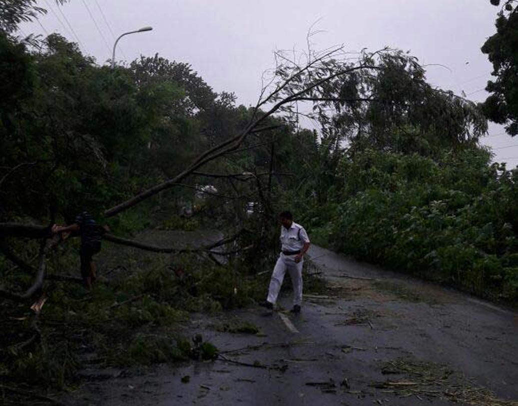 বাসন্তী হাইওয়ে।
