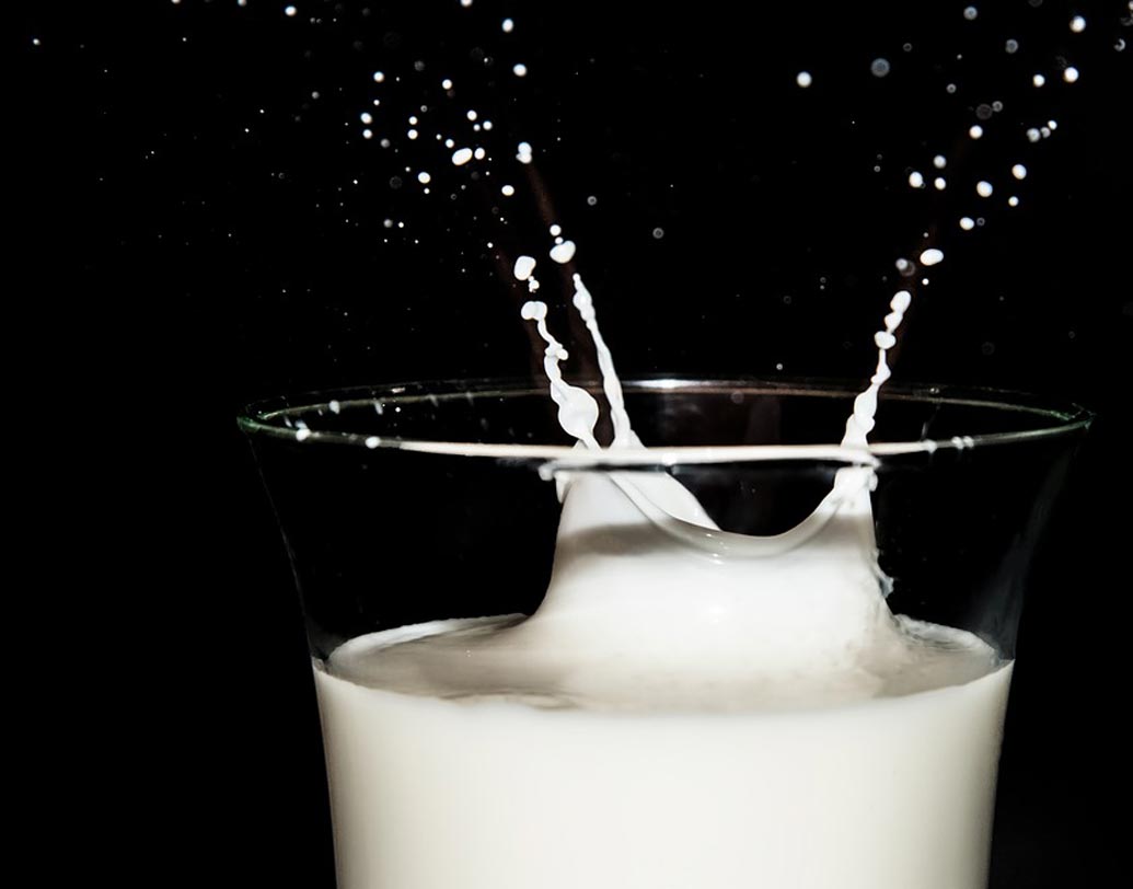 সরাসরি গোয়াল থেকে আসা কাঁচা দুধ না ফুটিয়ে খেতে কঠোর ভাবেই নিষেধ করছেন বিশেষজ্ঞরা। এতে সংক্রমণের সম্ভাবনা যথেষ্ট বেশি। ফলে এই দুধ অবশ্যই ফুটিয়ে খান। বিশেষজ্ঞদের মতে, কাঁচা দুধে অনেকরকম রোগজীবাণু বাসা বাধে। সরাসরি ডেয়ারি থেকে আনা দুধ খেলে সেই জীবাণু শরীরের নানা ক্ষতি করতে পারে। দুধ ফোটালে উচ্চ তাপমাত্রায় সেই সব জীবাণু মরে যায়।