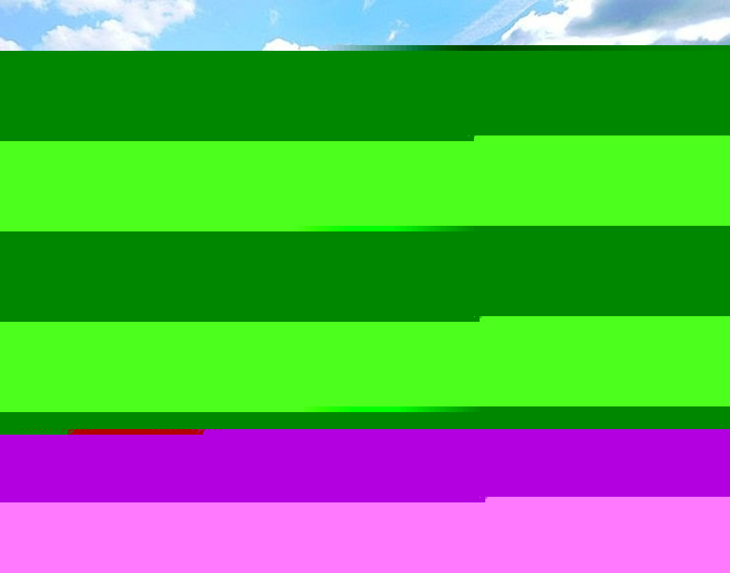 গাড়িটির ওজন প্রায় সাড়ে ৭ টন এবং এর ইঞ্জিনের ক্ষমতা ১ হাজার ৩৫ হাজার বিএইচপি।