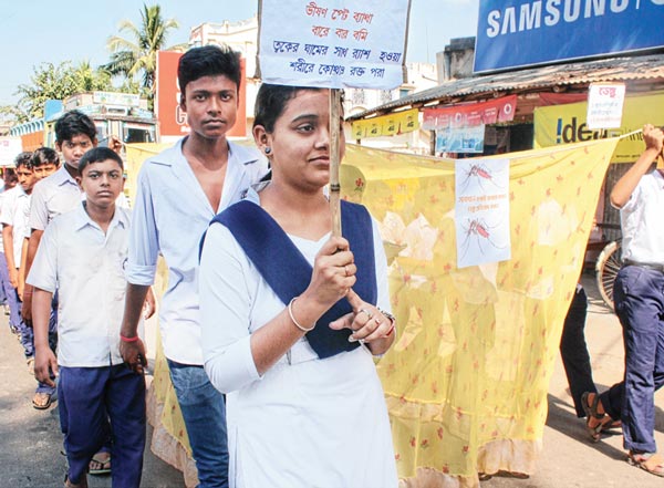 Students started campaigning to prevent Dengue