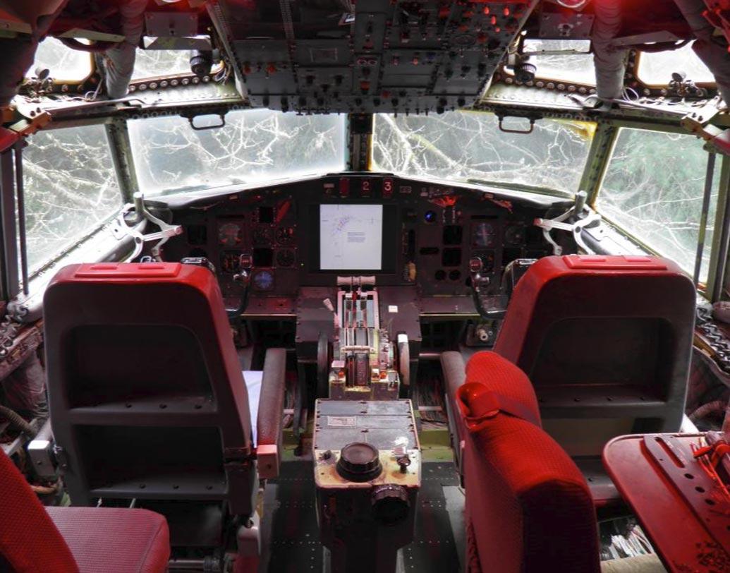 আর বিমানের ককপিট? সবুজে ঘেরা প্রকৃতির মধ্যে কাচ ঘেরা ওই ঘরে বসে বই পড়ুন, গান শুনুন। ককপিটকে বিনোদনের ঘর হিসাবে ব্যবহার করেন ব্রুস।