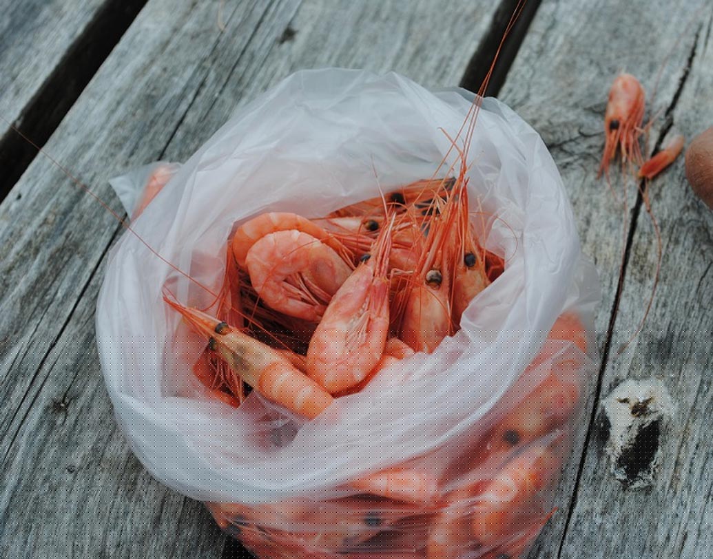 কাঁচা ও টাটকা সামুদ্রিক মাছ ভাল রাখার জন্য সেলোফোন র‌্যাপ করে বা এয়ার টাইট কন্টেনারে ফ্রিজে রাখুন।