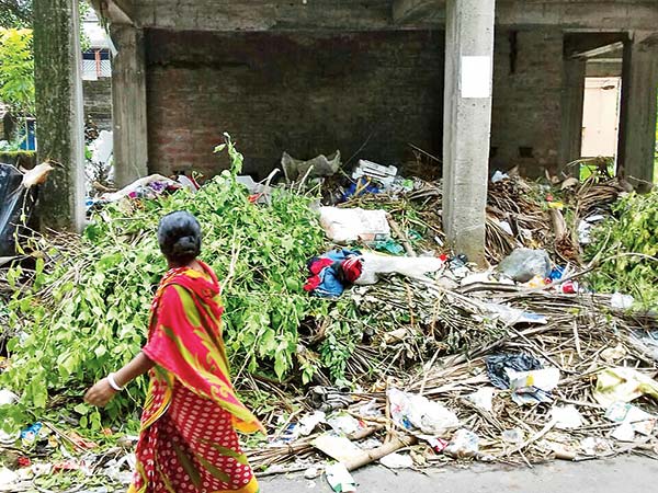 Vacant properties attract dengue mosquitoes