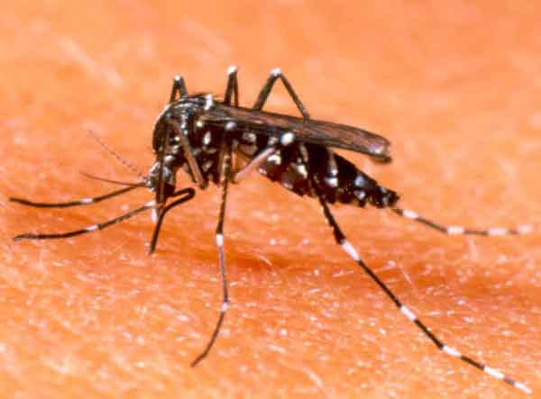 Government must take responsibility for the Failure of health system