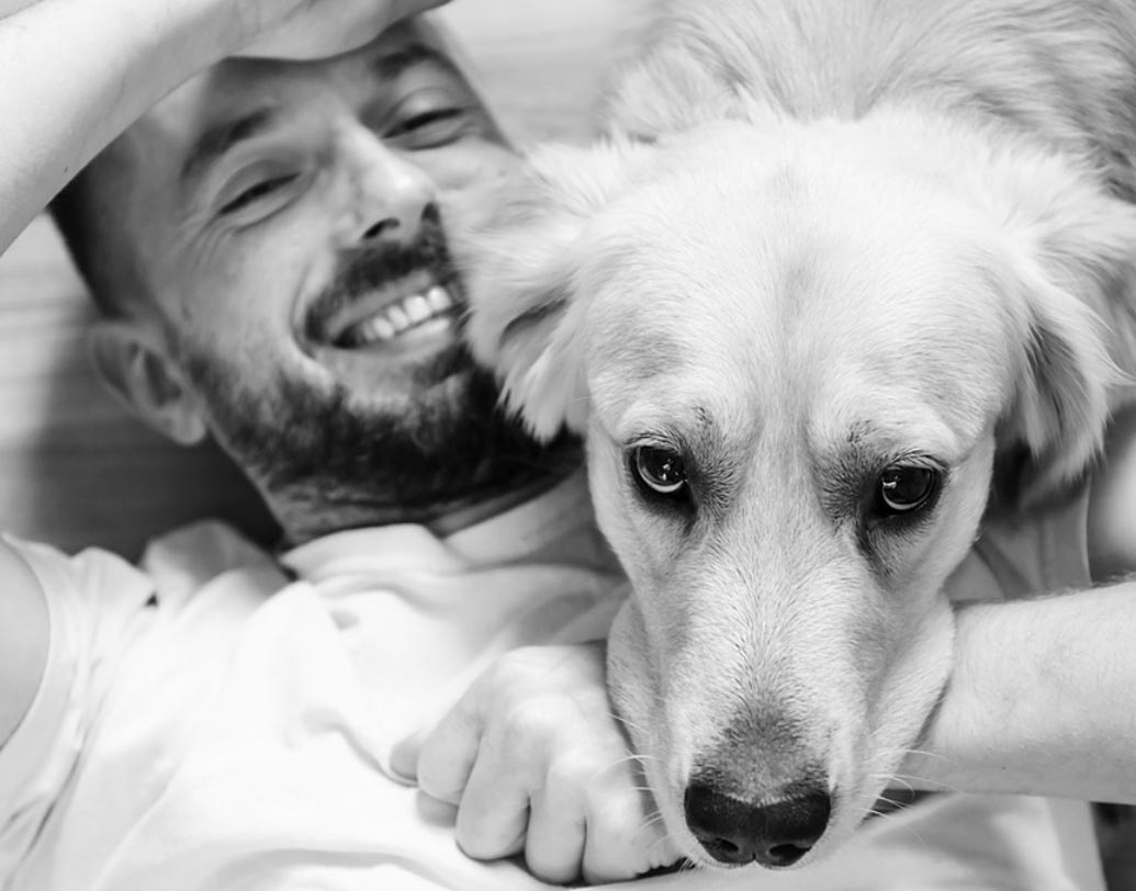 ‘আপনার কি কোনও পোষ্য আছে?’এই প্রশ্নটি পোষ্যদের সম্পর্কে তাঁদের পছন্দ বা অপছন্দ সম্পর্কে জানিয়ে দেবে।