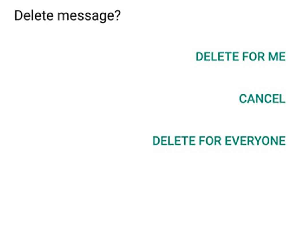 হোয়াটসঅ্যাপে ভুল করে পাঠানো মেসেজ ‘ডিলিট ফর এভরিওয়ান’ করলেও তা ডিভাইসে থেকে যায়। এবং সেখান থেকে মুছে দেওয়া মেসেজ পুনরায় দেখা সম্ভব।