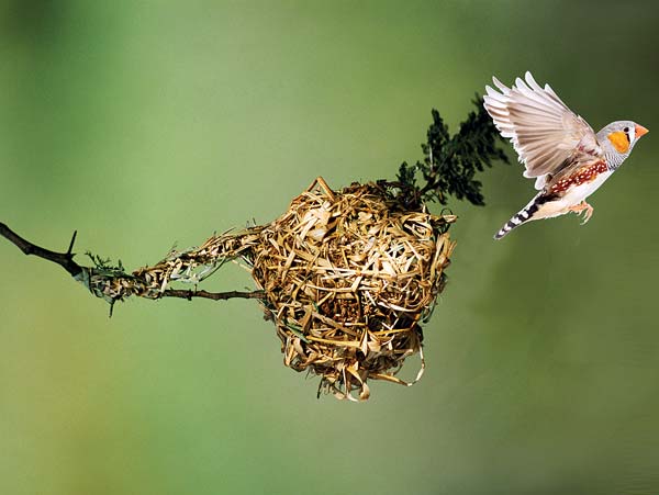 Some procedures to Sell your unused house