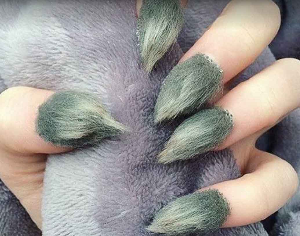 ফার নেলস:
বোল্ড কালার নেলপলিশ, নেল আর্ট— এ সব এখন পুরনো ফ্যাশন। হরর লুকে সাজতে চাইলে এ ধরনের ফার নেলস ট্রাই করা যায়।