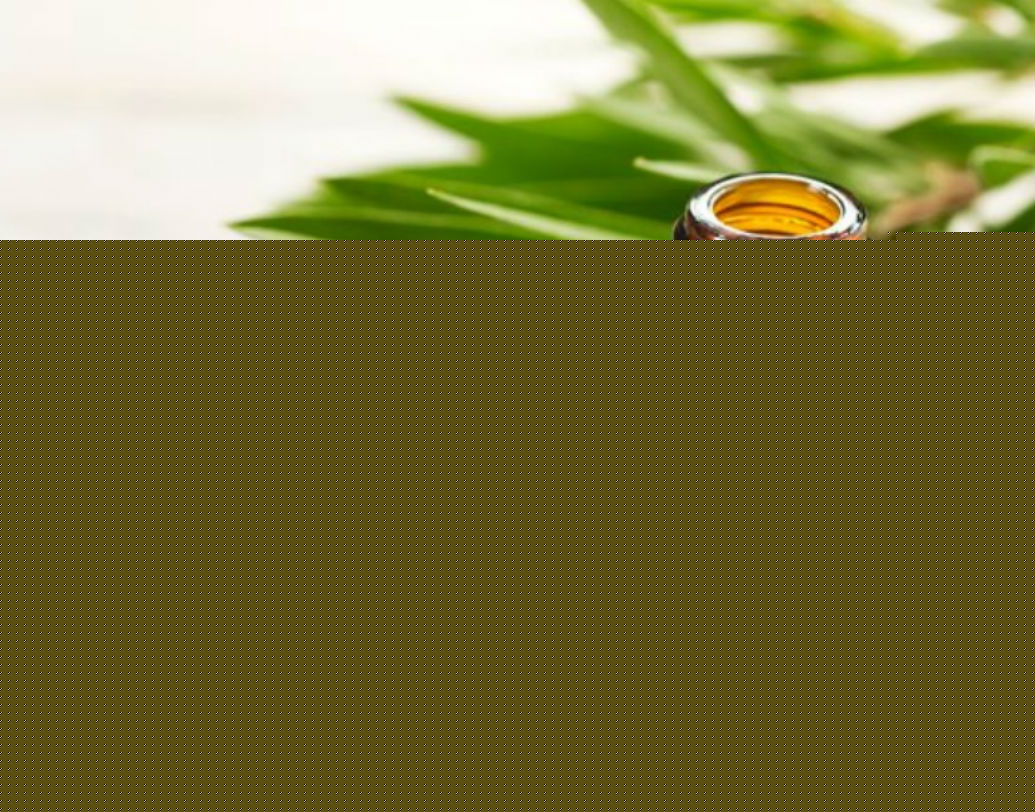 টি ট্রি অয়েল বা চা গাছের তেল ব্রণর সমস্যা দূর করে।