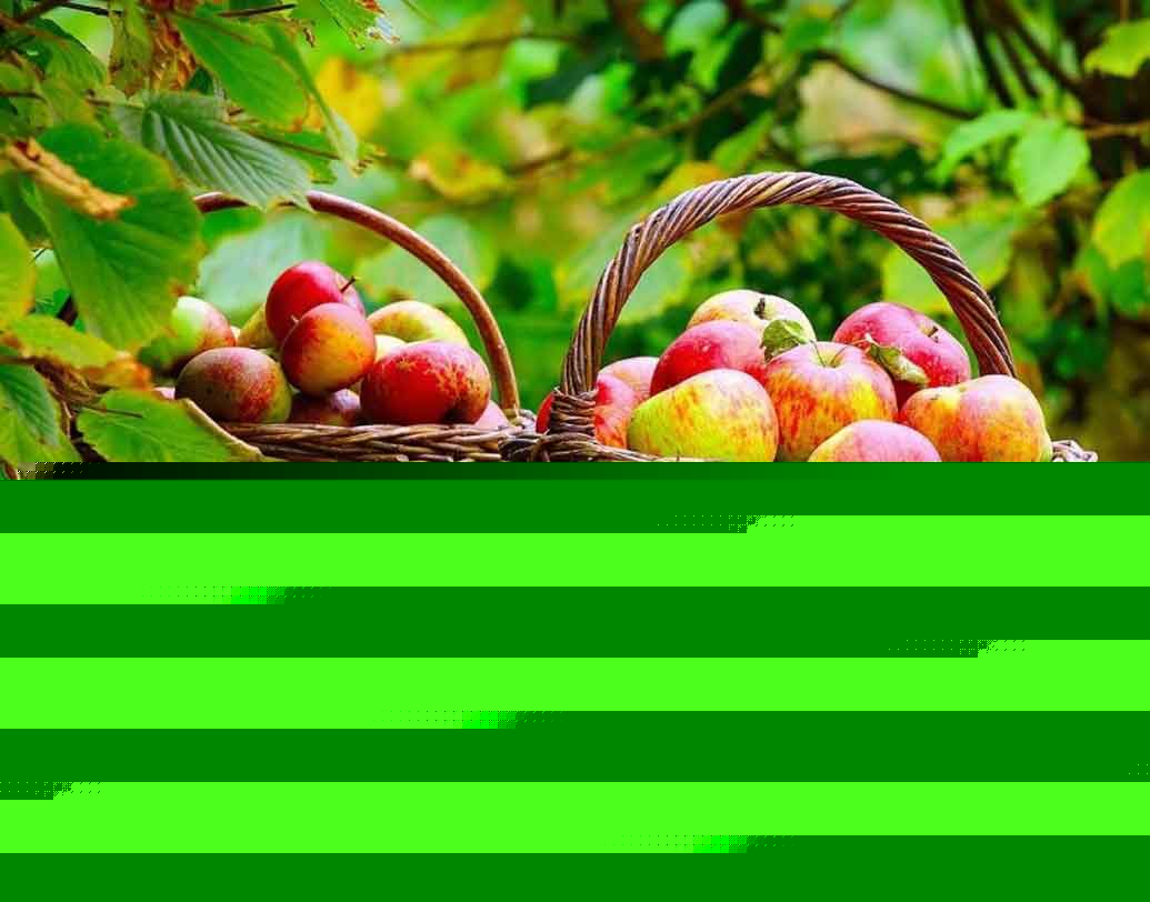 ফ্রুট(FRUIT):
আপনিও মানুষকে সাহায্য করতে ভালবাসেন। অনেক সময় এই স্বভাবের কারণে আপনাকে বিপদেও পড়তে হয়েছে। সহজেই মানুষকে বিশ্বাস করেন। এর সুযোগ নিয়ে কেউ কেউ আপনাকে ঠকাতেও পিছপা হয় না।