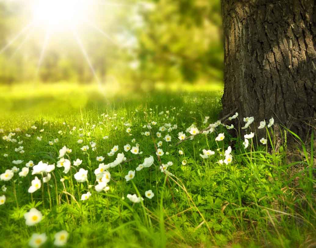 নেচার(NATURE):
মুখে উপর সত্যি কথা স্পষ্টভাবে জানিয়ে দিতে ভালবাসেন আপনি। যে কোনও সিদ্ধান্ত নেওয়ার ব্যাপারে আপনি দৃঢ়চেতা।