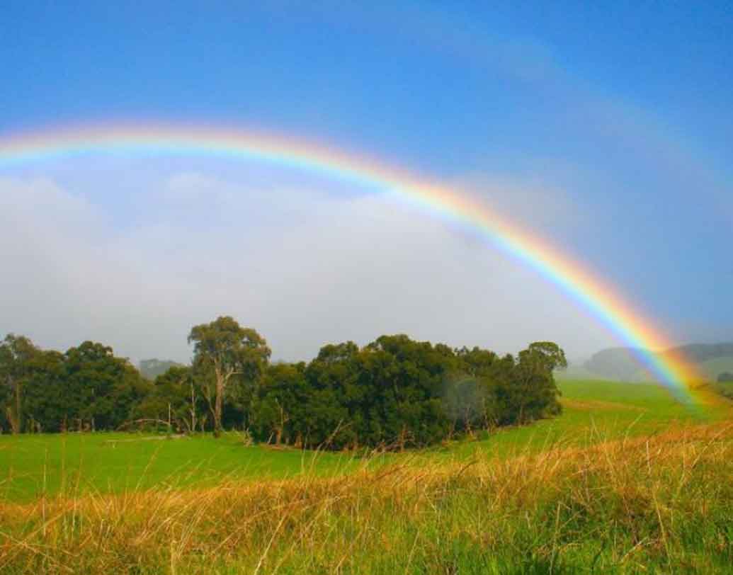 রেনবো(RAINBOW):
স্বভাবে আপনি একটু লাজুক। চুপচাপ থাকেন। যদিও নিজের পরিচিত ও পছন্দের গণ্ডিতে আপনি ভালভাবে মিশে যান। আপনি নিজের কাজ নিয়ে আত্মবিশ্বাসী।