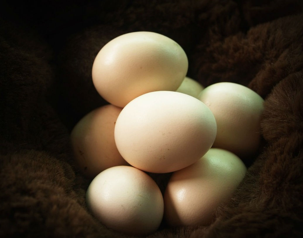 একই ভাবে আলোর সামনে ধরলে যদি ডিমের ভিতর রিং-এর মতো আকার দেখতে পান। তবে বুঝতে হবে ডিমটিতে পচন শুরু হয়েছে।