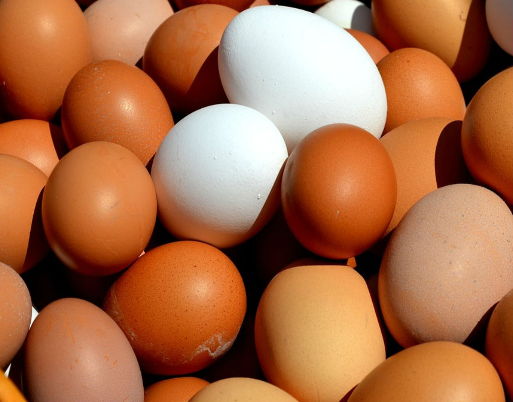 একই ভাবে আলোর সামনে ধরলে যদি ডিমের ভিতর রিং-এর মতো আকার দেখতে পান। তবে বুঝতে হবে ডিমটিতে পচন শুরু হয়েছে।