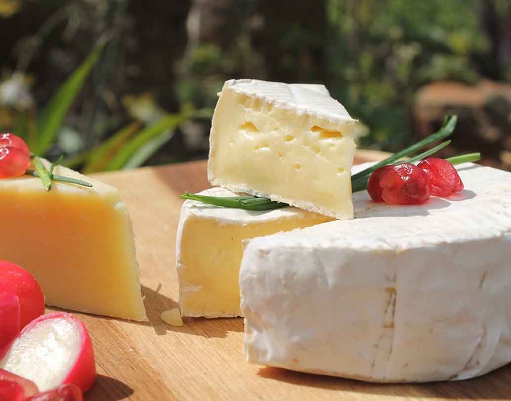 চিজ: চিজের মধ্যে রয়েছে ক্যালসিয়াম, ফসফরাস এবং প্রোটিন যা দাঁত ভাল রাখে এবং মাড়ি শক্ত করে। তা ছাড়া দাঁতকে ক্ষয়ের হাত থেকেও বাঁচায়। মাউথওয়াশ ব্যবহার বন্ধ করে প্রতি দিনের ডায়েট তালিকায় চিজ রাখুন। দাঁত ভাল থাকবে।