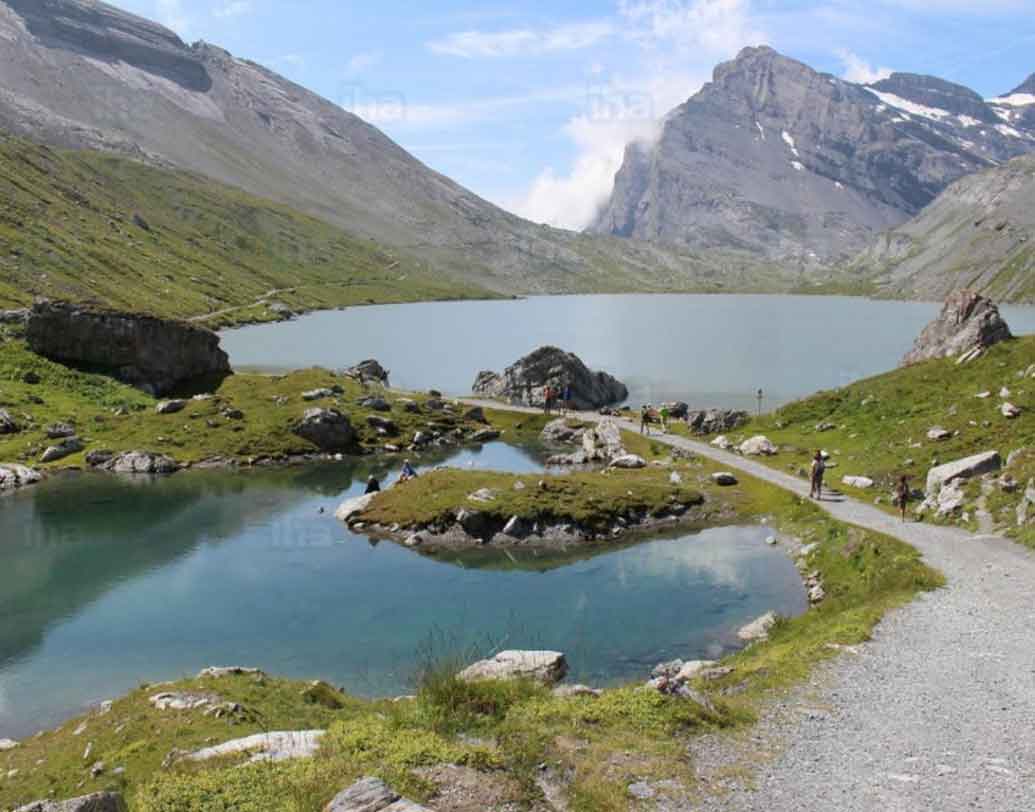 ছবির মতো সুন্দর শহর এই অ্যালবিনেন। কিন্তু জনবসতি এখানে বড়ই কম। ফলে বিলুপ্তির হাত থেকে নিজেদের বাঁচানোর প্রচেষ্টা চালাচ্ছে এই শহর। আর সেই কারণেই এমন লোভনীয় অফার দেওয়া হয়েছে অ্যালবিনেনের পুর-কর্তৃপক্ষের তরফে।