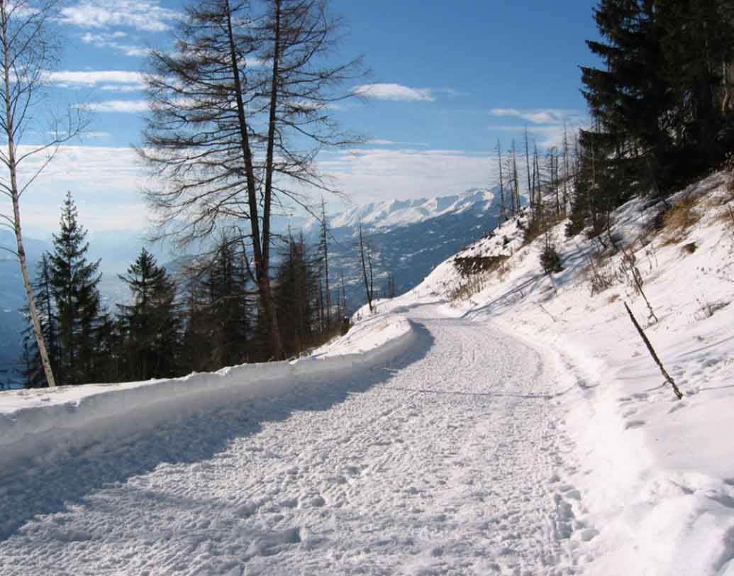 প্রস্তাবে বলা হয়েছে, কেউ অ্যালবিনেন-এ থাকতে এলে পরিবারপিছু তাঁকে দেওয়া হবে প্রায় ৭০ হাজার ডলার।