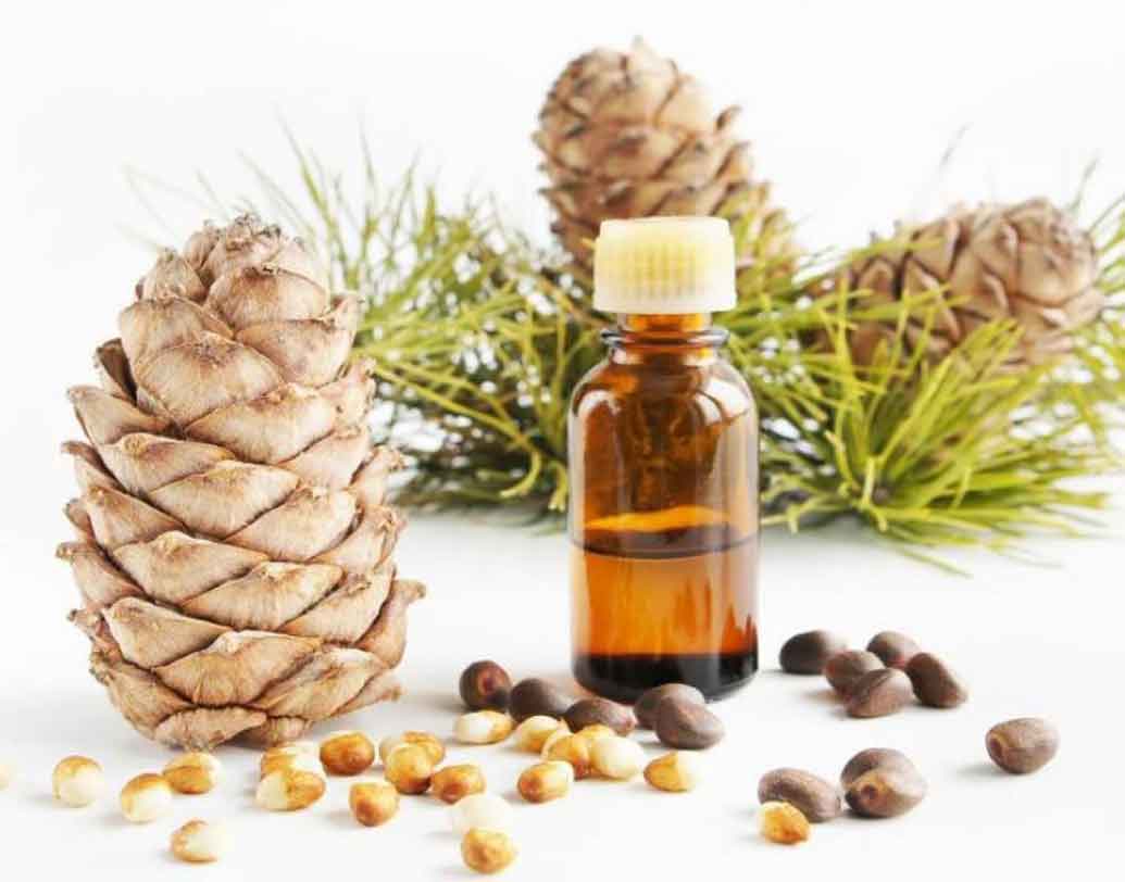 টরাস(২১ এপ্রিল-২১ মে):
এঁদের মধ্যে থাকে শিল্পীচেতনা। পাশাপাশি এঁদের সঙ্গে যুক্তি-তর্কেও এঁটে ওঠা কঠিন। টরাসের জাতকদের জন্য সিডারউড অয়েল খুবই ভাল। যা এই রাশির মানুষদের দৃঢ় ব্যক্তিত্বকে রক্ষা করে।