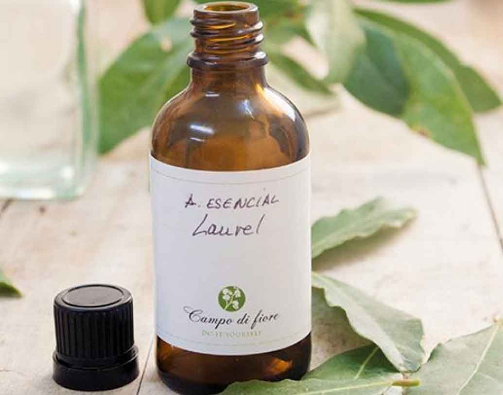 ক্যানসার(২২ জুন-২২ জুলাই):
এই রাশির জাতকরা একটু ভাবুক হন। তাই এই রাশির মানুষদের জন্য লওরেল অয়েল সবথেকে ভাল। মনে জোর আনে এই তেল।