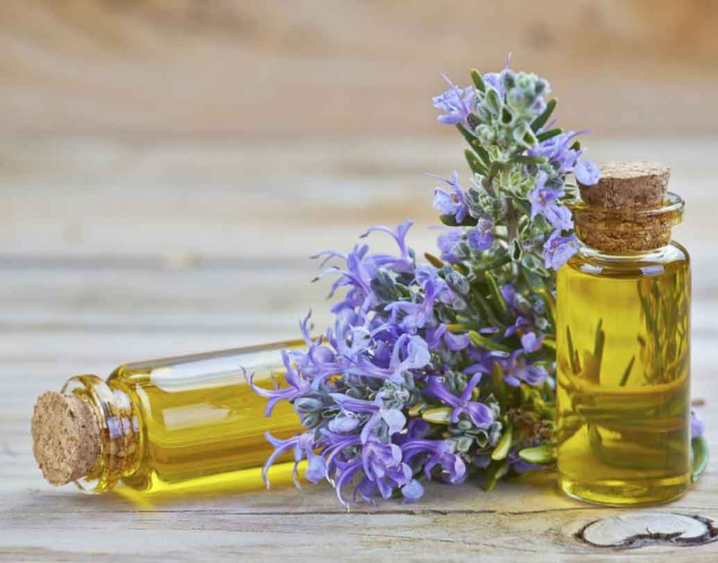 ভার্গো(২২ অগস্ট-২৩ সেপ্টেম্বর):
ভার্গোদের জন্য সবচেয়ে ভাল রোজমেরি এসেনশিয়াল অয়েল।