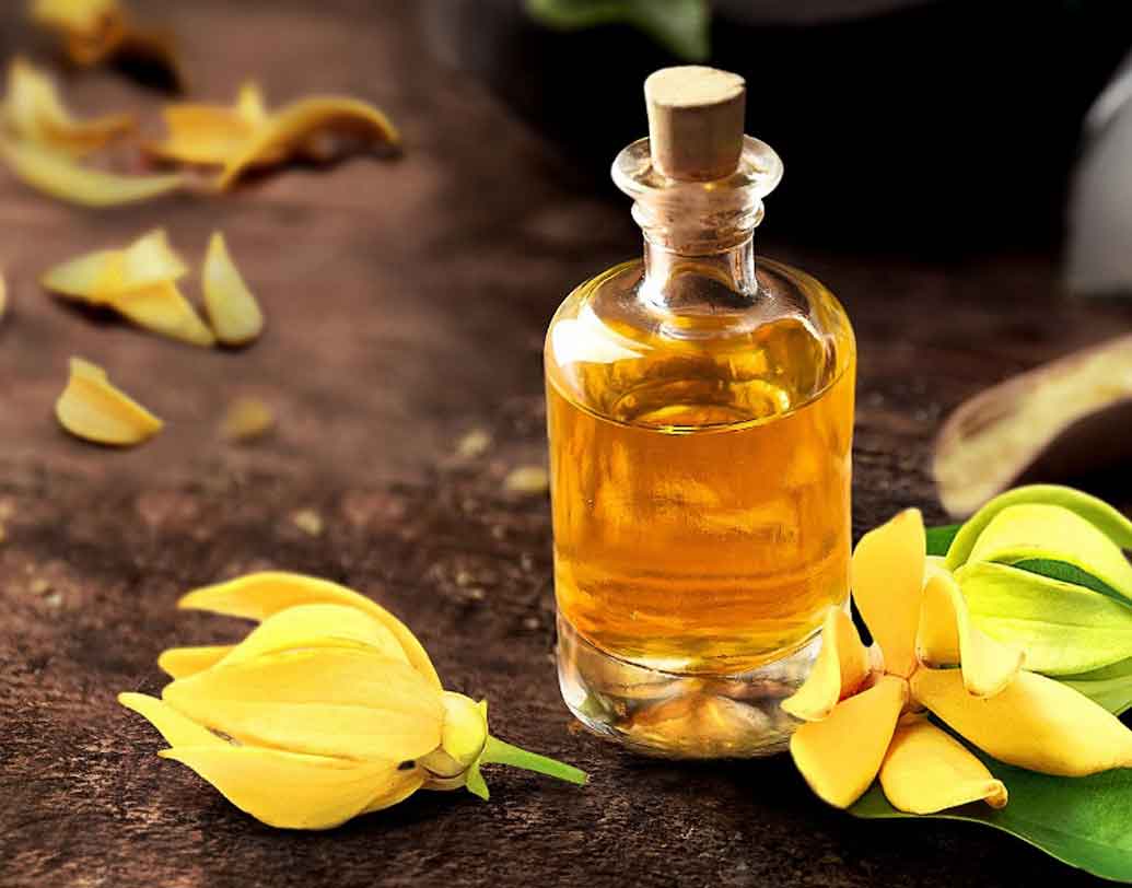 স্যাজিটেরিয়াস(২৩ নভেম্বর-২২ ডিসেম্বর):
ডোন্ট কেয়ার ভাব রয়েছে আপনাদের মধ্যে। ঘুরতে ভালবাসেন এঁরা। সহজেই অধৈর্য হয়ে পড়েন। অয়েল অব ইয়াং ইয়াং এই এসেনশিয়াল অয়েল স্যাজিটেরিয়ানদের ব্যাক্তিত্বকে প্রশমিত করে।