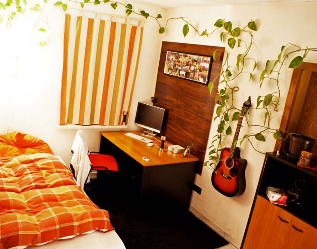 বাড়ির উত্তর দিকে মানি প্লান্ট রাখতে পারেন। তাতে আর্থিক ভাবে লাভবান হবেন। কেরিয়ারেও নানা সুযোগ আসতে পারে।