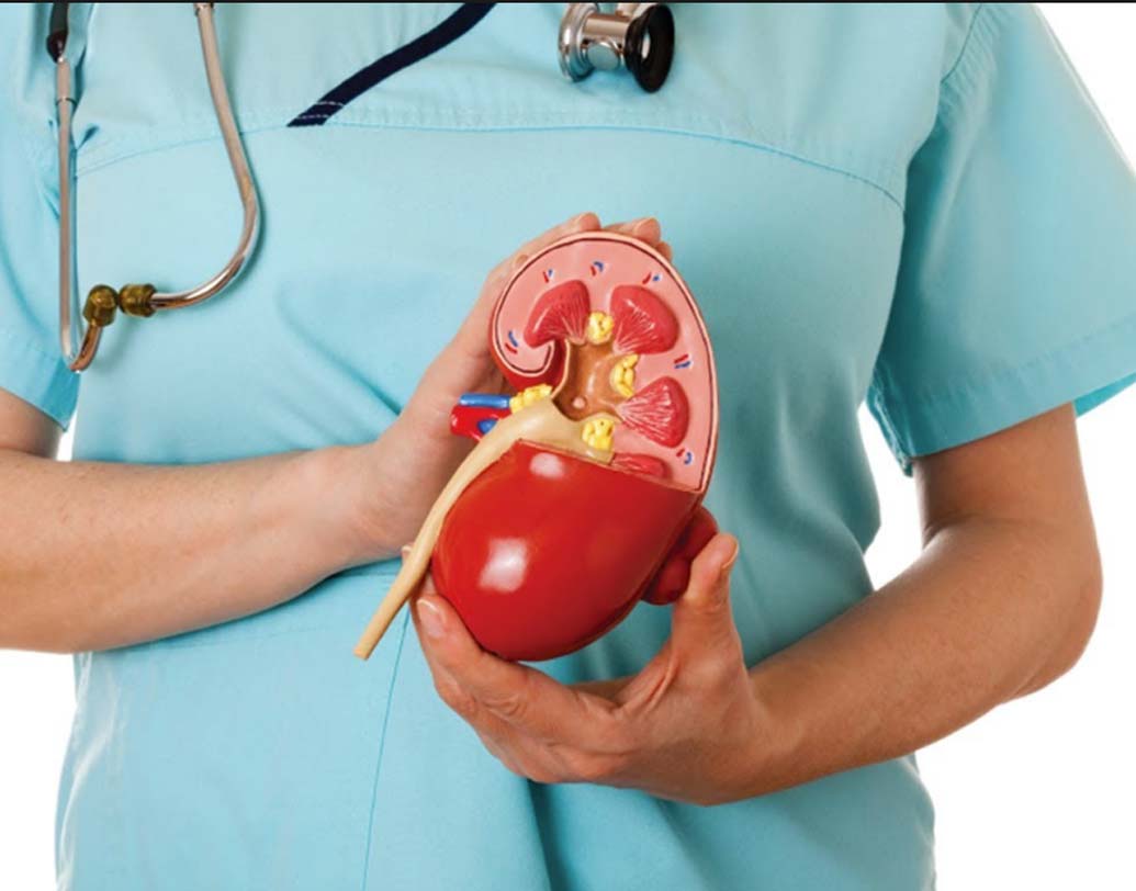 এর ফলে বড়সড় ক্ষতি হতে পারে কিডনিরও। মূত্রথলির সঙ্গে কিডনি যুক্ত থাকে। কি়ডনিতে এক দিকে যেমন সংক্রমণের আশঙ্কা থাকে, অন্য দিকে, এর ফলে কিডনির উপরও প্রবল চাপ পড়ে। তাতে কিডনি বিকল হওয়ারও সম্ভাবনা থেকে যায়।