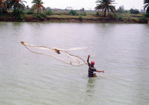 প্রতীকী ছবি।