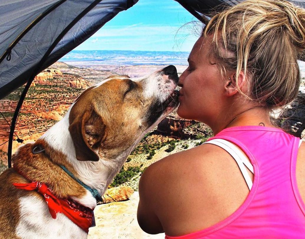 সিনথিয়া বেন্নেটের ইচ্ছে ছিল একটি গোল্ডেন রিট্রিভার কেনার। কিন্তু এক জায়গায় হেনরিকে দেখার সঙ্গেই সিনথিয়ার মনে ধরে সে। হেনরির কাছে যাওয়া মাত্রই সে সিনথিয়ার কোলে ঝাঁপিয়ে পড়ে। আর তারপরই হেনরিকে বাড়ি নিয়ে যাওয়ার সিদ্ধান্ত নেন সিনথিয়া।