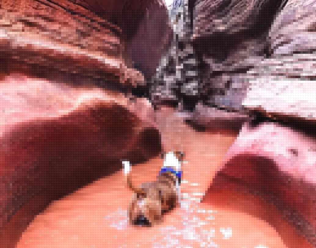 সিনথিয়া বলছেন, “প্রথম বার তিন দিনের জন্য হেনরিকে নিয়ে ঘুরতে যাই। আর সেই ট্রিপে হেনরি বেজায় আনন্দ পেয়েছিল।”