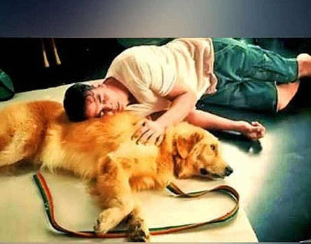 অক্ষয় কুমার:
অসময়ের ঘুম। ঘরের মেঝেতেই পোষ্যর পেটে মাথা রেখে দিব্যি ঘুমিয়ে পড়লেন অক্ষয়।