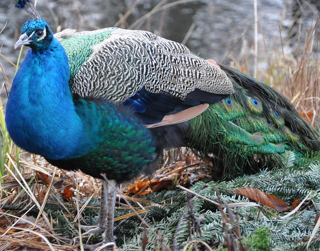 আপনি কি অহংকারি? নিজেক সব সময় সঠিক, অন্যদের থেকে বেশি যোগ্য, বেশি গুরুত্বপূর্ণ ভাবেন?