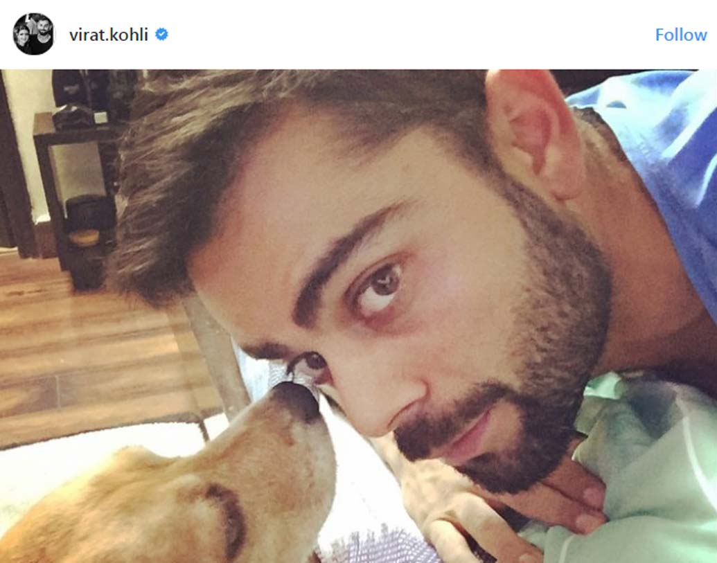 নিজের পোষ্যের পাশাপাশি অসহায় সারমেয়দের রক্ষার্থেও বহু বার এগিয়ে আসতে দেখা গিয়েছে তাঁকে।