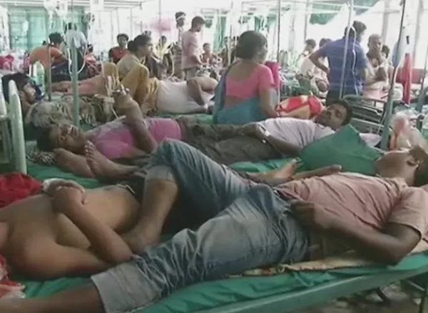 How many deaths have occurred in Dengue, High Court filed a case for information