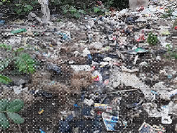 So many people are attacked by fever