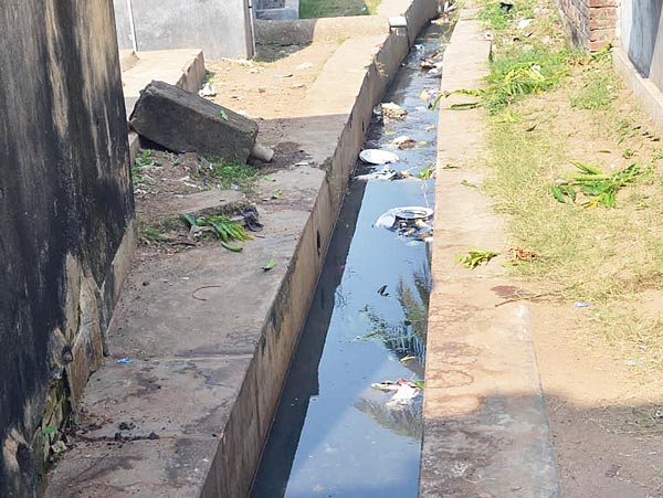 Dengue fears at school