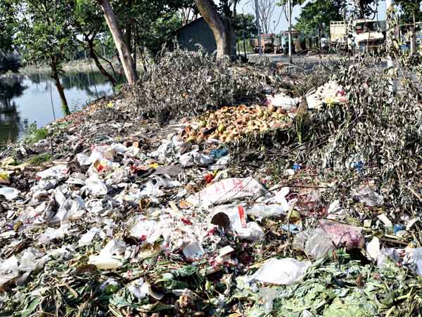 দূষণ: পুকুরপা়ড়ে আবর্জনার স্তূপ প্রমোদনগরে। ছবি: স্নেহাশিস ভট্টাচার্য।